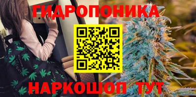 стафф Мариинск