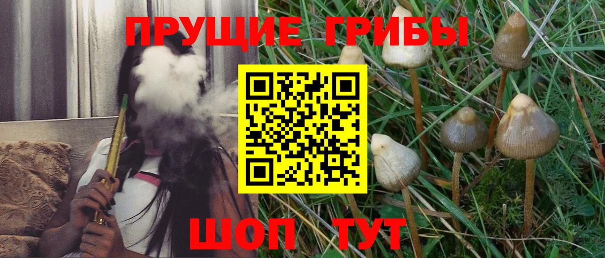Азов  Псилоцибиновые грибы мицелий  Вход с VPN 